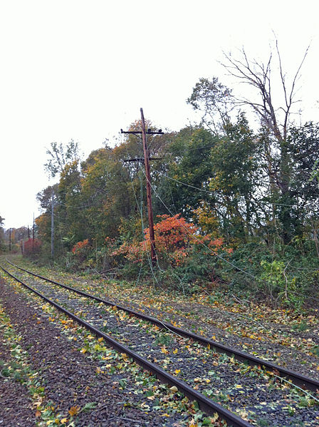 File:Downed wires near LIRR tracks.jpg