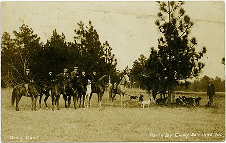 Chasse à Courre: grâcier, comme à la pêche 440px-Draghuntpostcard