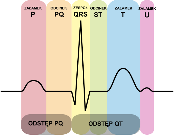 Plik:EKG Komplex PL.svg