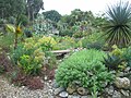 Thumbnail for File:East Ruston Vicarage Gardens - geograph.org.uk - 6195014.jpg