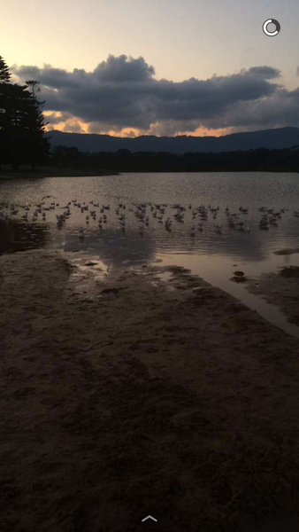 File:Estuary at Wollongong.png