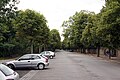 Dresden. Blick in die Fiedlerstraße von der Fetscherstraße aus. Rechts Neuer Jüdischer Friedhof, dahinter Trinitatisfriedhof.