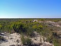 Fisherman Island National Wildlife Refuge, VA.  Hitel- USFWS (11804792806) .jpg