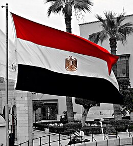 Flag of Egypt-2013.JPG