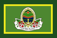 Flag of Maputo.png