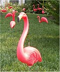 Vorschaubild für Gartenflamingo