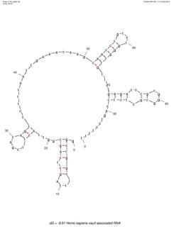 Vault RNA