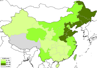 Religion In China Percentage Chart