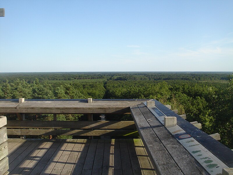 File:Forêt d'Orléans depuis Les Caillettes 03.JPG