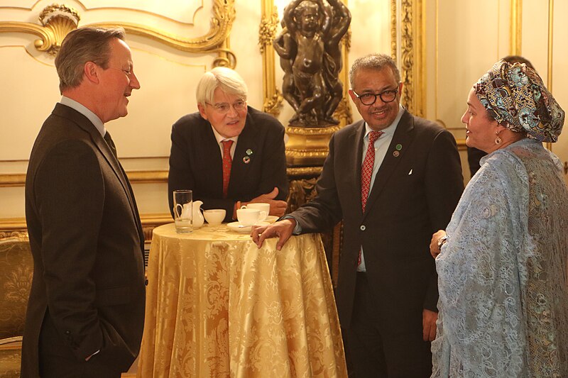 File:Foreign Secretary David Cameron, Minister of State Andrew Mitchell, Director General of the World Health Organisation, and Deputy SecretaryGeneral, Amina J. Mohammed of the United Nations pictured at the Global Food Security Summit in L.jpg