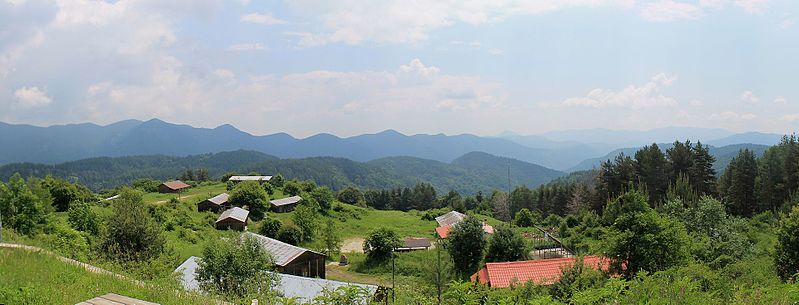 File:Forest Fraktu Village.jpg