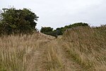 Furze Hill SSSI