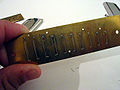 Reed plate of a diatonic harmonica.
