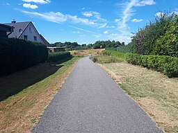 Emmy-Ball-Hennings-Straße in Flensburg