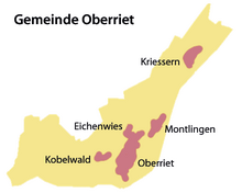 Karte der politischen Gemeinde Oberriet mit den zugehörigen Ortsgemeinden