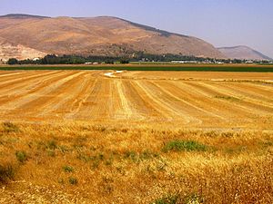 Gilboa from Tell Zoharah - panoramio.jpg