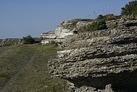 Miniatyrbild för Ölandskalksten