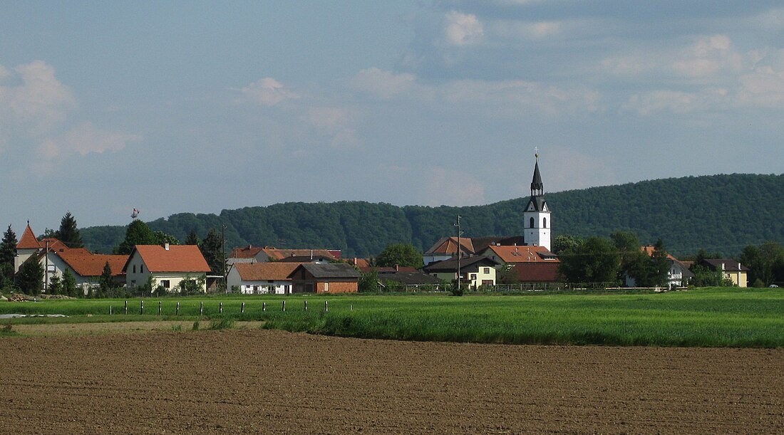 Gorišnica