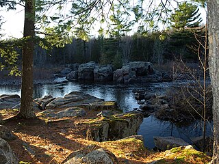 <span class="mw-page-title-main">Grandfather Falls</span> Waterfall in Wisconsin