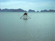 Hạ Long Bay - Wikipedia