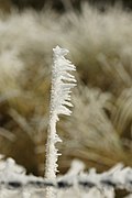 Hoar frost