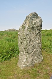 Harold Stone, Skomer (7184) .jpg