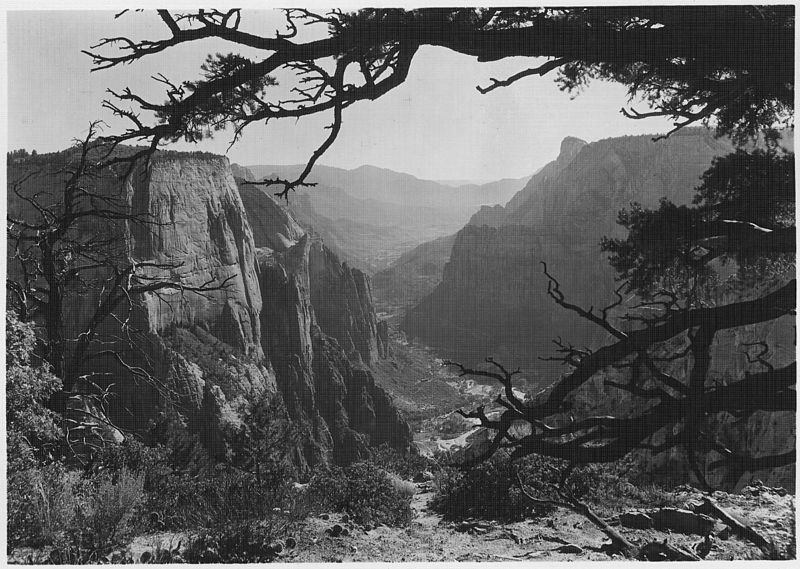 File:Horizontal view of Zion Canyon from east side of Observation Point, face of Great White Throne at left. - NARA - 520479.jpg