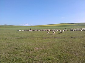 Правое центральное знамя Хорциня