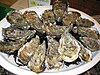 The Marennes-Oléron oysters are the signature food product of the region