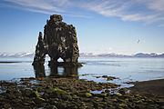 Hvítserkur basalt stack along the eastern shore of the Vatnsnes