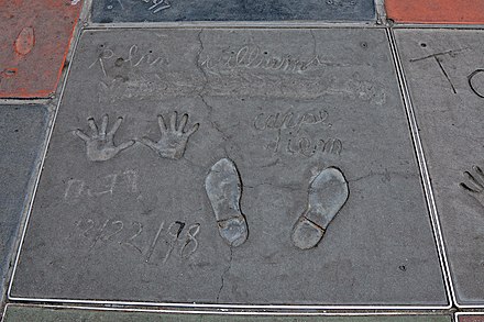 Williams's prints at Grauman's Chinese Theatre