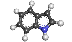 Ball-and-stick model of indole