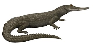 <i>Isisfordia</i> Extinct genus of reptiles