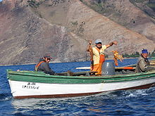 A fisherman with two spiny lobsters off Robinson Crusoe Island Isla Juan Fernandez- Langostas (Lobsters).jpg