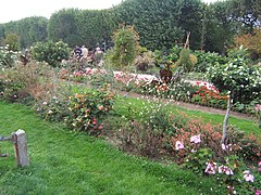 Jardin des plantes