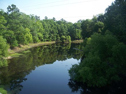 Aucilla River view from a bridge in Lamont, Florida