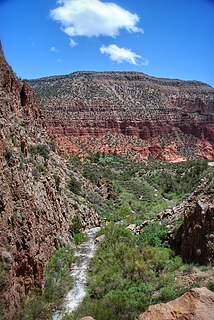 Jemez Mountains