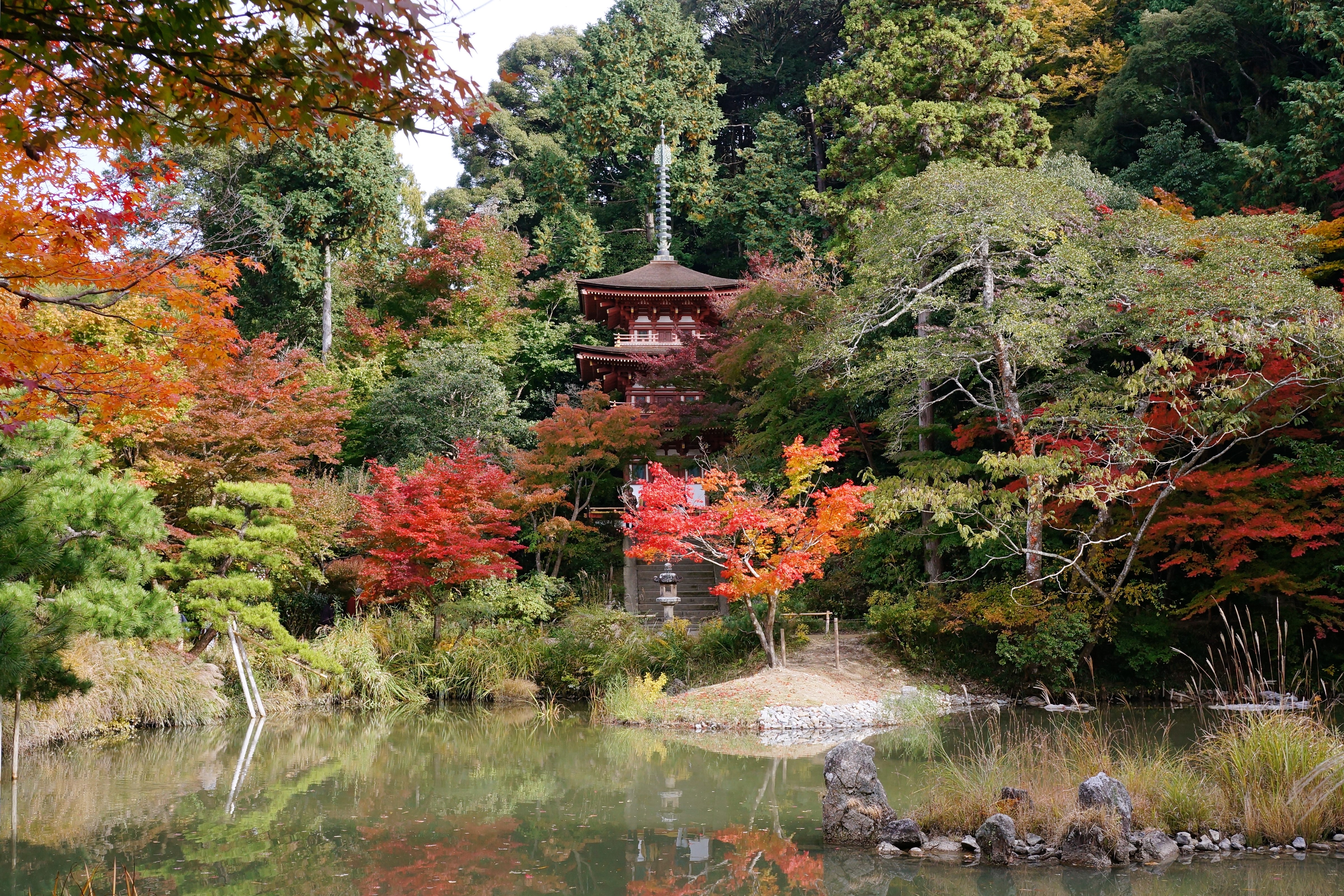 Japan 2. Япония Префектура Киото. Сады Киото Япония. Храм дзёрури дзи. Япония природа префектуры Киото.