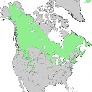 <span class="mw-page-title-main">Species distribution</span> Geographical area in which a species can be found
