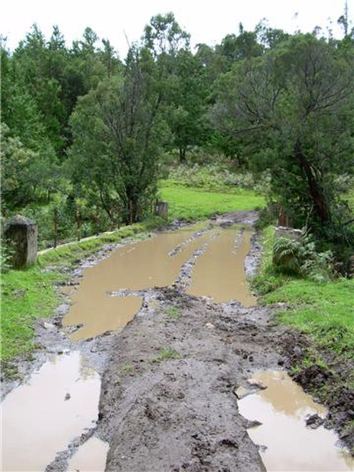 Bridge over Kathirikkai Odei， 2010