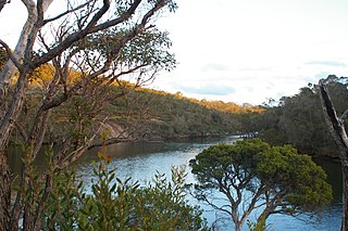 <span class="mw-page-title-main">Kalgan River</span> River in Western Australia