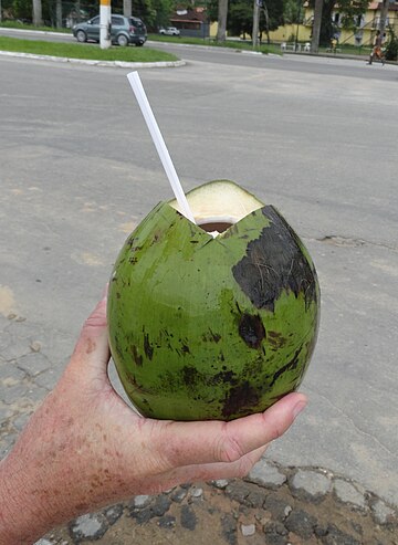 File:Kokosnussdrink.jpg