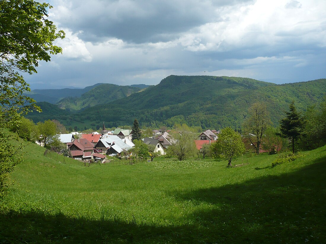 Kordíky