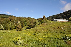 La Combe du Faoug