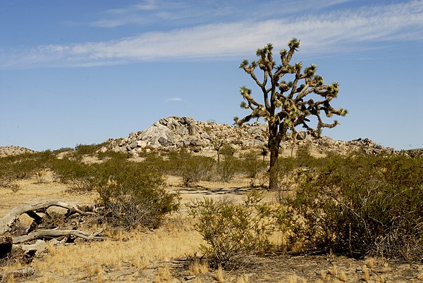Some scenes in the music video were filmed in the Mojave Desert near the historical Easy Rest Inn.