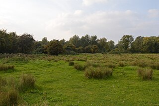 <span class="mw-page-title-main">Henlow Common and Langford Meadows</span>