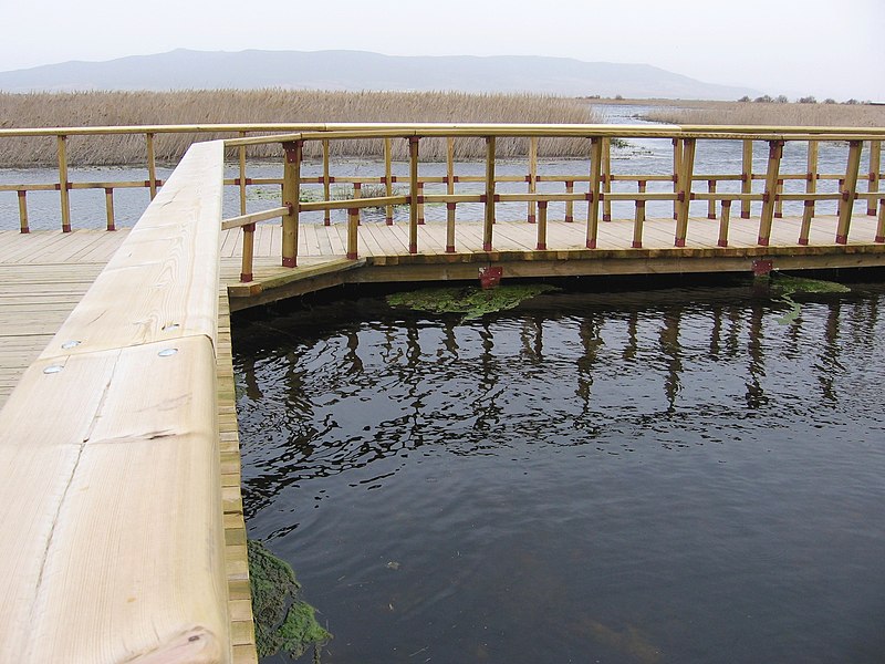 File:Las Tablas de Daimiel al fin con agua - panoramio.jpg