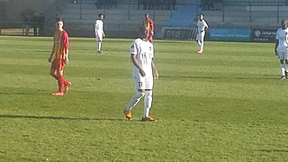 <span class="mw-page-title-main">Mohamed Cissé</span> Guinean footballer