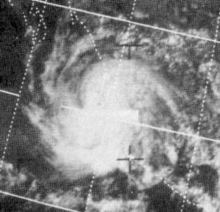 <span class="mw-page-title-main">Hurricane Lily (1971)</span> Category 1 Pacific hurricane in 1971