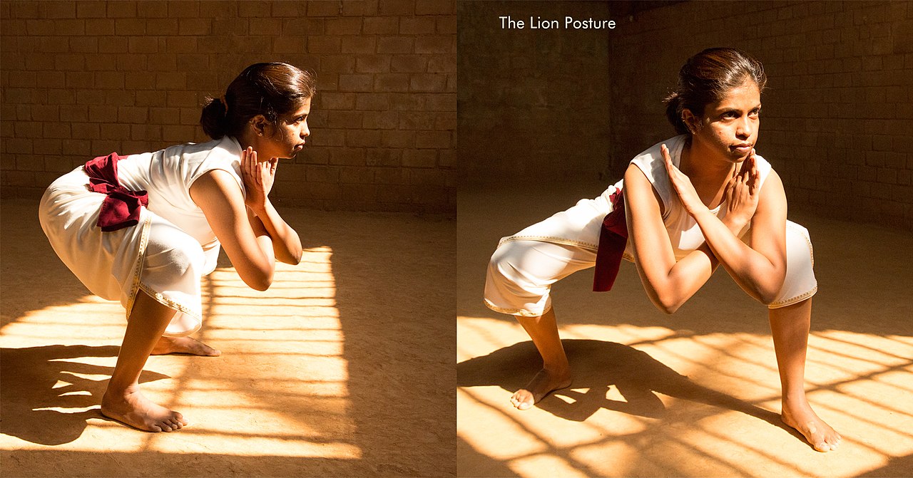 Simhasana | Lion Pose | Steps | Benefits | Precautions | How to do yoga,  Learn yoga poses, Yoga images